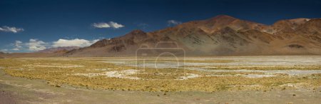 Foto de La cordillera de los Andes. Las montañas marrones, la hierba amarilla y el valle, bajo un cielo azul profundo. - Imagen libre de derechos