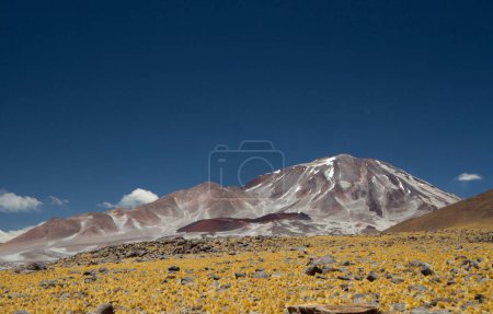 Photo for Volcanic landscape high in the alps.  Beautiful view of the golden meadow, Andes mountain range and Volcano Incahuasi under a deep blue sky, in Catamarca, Argentina. - Royalty Free Image