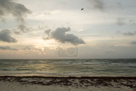 Téléchargez les photos : Le paradis. Paysage marin. La mer et les vagues de l'océan au lever du soleil. Belles couleurs du lever du jour dans l'eau, le ciel et les nuages. - en image libre de droit