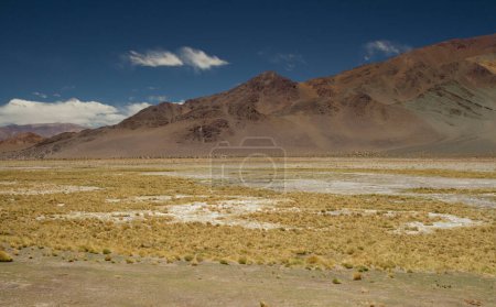 Photo for The Andes mountain range. Panorama view of the brown mountains, yellow grass and valley, under a deep blue sky. - Royalty Free Image