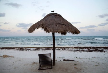 Téléchargez les photos : Loisirs au paradis. Vue sur la plage tropicale au coucher du soleil. Un oiseau sur le parasol de foin, le lit de la plage, sable blanc et les vagues de l'océan en arrière-plan. - en image libre de droit