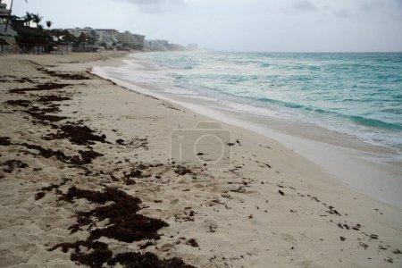 Foto de Playa tropical en un día nublado. Vista de la costa de arena blanca, sargassum gulfweed, mar de color turquesa, olas marinas y costa en Cancún, México. - Imagen libre de derechos