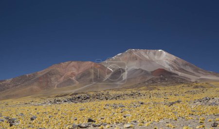 Téléchargez les photos : Paysage volcanique haut dans les Alpes. Belle vue sur la prairie dorée, la chaîne des Andes et le volcan Incahuasi sous un ciel bleu profond, à Catamarca, Argentine. - en image libre de droit