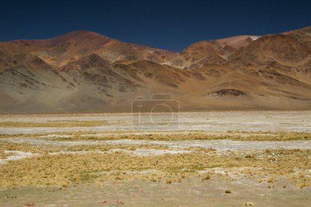 Photo for The Andes mountain range. Panorama view of the brown mountains, yellow grass and golden valley, under a deep blue sky in San Francisco Pass, Catamarca, Argentina. - Royalty Free Image