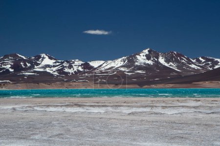 Téléchargez les photos : Paysage alpin dans la cordillère. Beau lac d'eau de glacier turquoise dans la chaîne de montagnes des Andes, entouré de volcans, de salines naturelles et de montagnes sombres, sous un ciel bleu profond. - en image libre de droit
