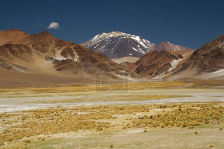 Die Anden. Panoramablick auf die gelbe Wiese, die braunen Berge, das goldene Tal und den Vulkan Incahuasi unter tiefblauem Himmel.