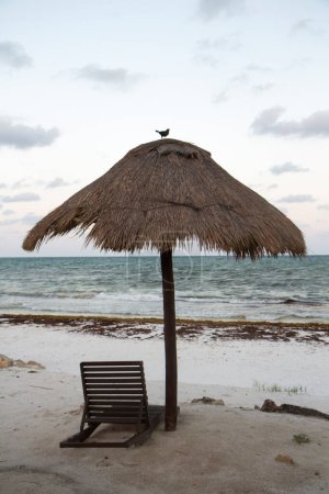Foto de Paraíso. Vista de la playa tropical al atardecer. Un pájaro en el sombrilla de heno, la cama de playa, arena blanca y olas del océano en el fondo. - Imagen libre de derechos