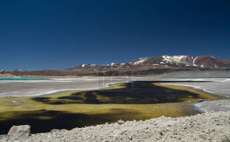 Foto de Paisaje volcánico alto en la cordillera. Vista del lago de agua amarilla y negra debido al azufre en el agua, el salar natural y las montañas de los Andes en el fondo, bajo un cielo azul profundo. - Imagen libre de derechos