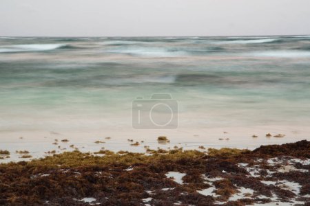 Téléchargez les photos : Longue exposition. La plage au coucher du soleil. Le sable blanc, les algues sargasses et les vagues de mer floues avec de belles couleurs crépusculaires et la réflexion de la lumière du soleil dans l'eau de l'océan. - en image libre de droit