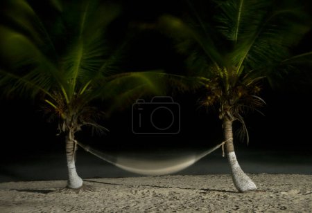 Foto de Un disparo nocturno. La playa por la noche. Larga exposición de dos palmeras sosteniendo una hamaca paraguaya rebotando con el viento. La hamaca borrosa y las hojas de palma rebotando con la brisa de la costa. - Imagen libre de derechos