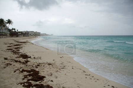 Téléchargez les photos : Plage tropicale par temps nuageux. Vue sur le rivage de sable blanc, l'asclépiade sargassum, l'océan de couleur turquoise, les vagues de la mer et le littoral à Cancun, Mexique. - en image libre de droit