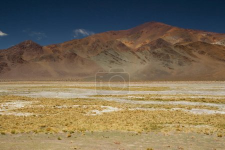 Téléchargez les photos : La chaîne des Andes. Vue panoramique sur les montagnes brunes, l'herbe jaune et la vallée dorée, sous un ciel bleu profond. - en image libre de droit