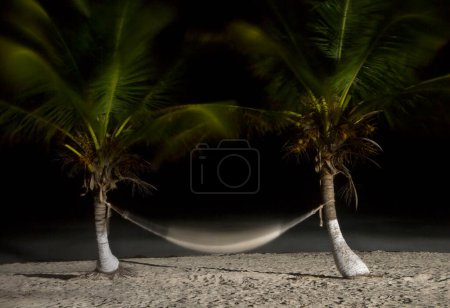 Téléchargez les photos : Tir de nuit. La plage la nuit. Prise de vue longue exposition de deux palmiers tenant un hamac paraguayen rebondissant avec le vent. L'hamac flou et les feuilles de palmier rebondissant avec la brise côtière. - en image libre de droit