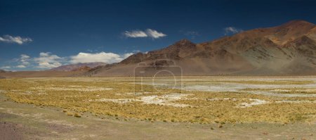 Téléchargez les photos : La chaîne des Andes. Vue panoramique sur les montagnes brunes, l'herbe jaune, la vallée et le volcan Incahuasi, sous un ciel bleu profond. - en image libre de droit