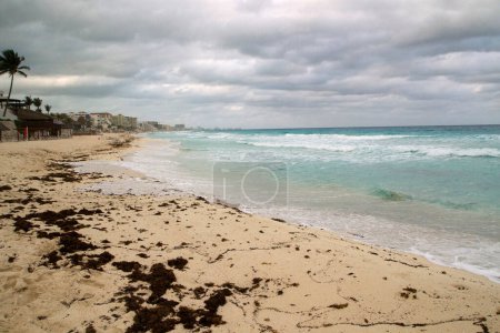 Photo for Tropical beach in a cloud day. View of the white sand shore, sargassum gulfweed, turquoise color ocean, sea waves and coastline in Cancun, Mexico. - Royalty Free Image