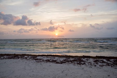 Téléchargez les photos : L'été. Paysage marin des Caraïbes. Le sable blanc, le sargassum et la mer au coucher du soleil. Belles couleurs du crépuscule dans le ciel, nuages et vagues océaniques. - en image libre de droit