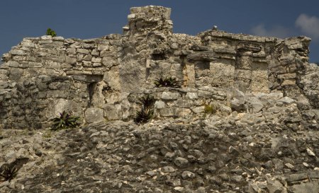 Téléchargez les photos : Architecture de civilisation ancienne. Ruines de pierres sacrées mayas en Tulum, le Mexique. - en image libre de droit