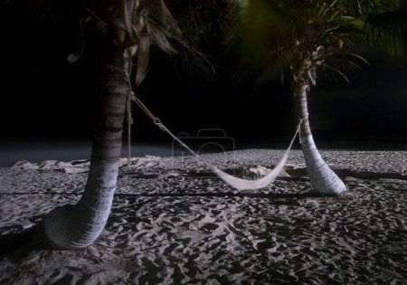 Photo for Night shot. The beach at night. Long exposure shot of two palm trees holding a Paraguayan hammock bouncing with the wind. The blurred hammock and palm leaves bouncing with the coast breeze. - Royalty Free Image