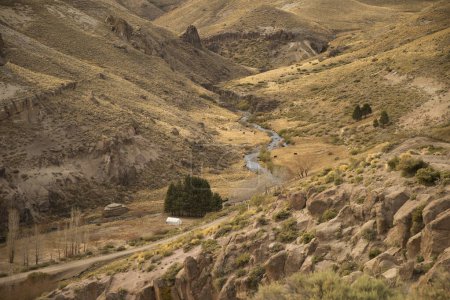 Téléchargez les photos : Paysages ruraux. Le chemin de terre le long de la vallée dorée. Vue de la prairie jaune, des montagnes rocheuses, du bétail et d'un ruisseau traversant les prairies. - en image libre de droit