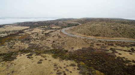 Téléchargez les photos : Route rurale. Vue aérienne de la route asphaltée à travers la prairie jaune et les collines en automne. - en image libre de droit