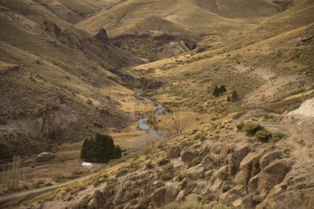 Ländliche Szenerie. Der Feldweg entlang des goldenen Tals. Blick auf die gelbe Wiese, felsige Berge, Rinder und einen Bach, der über das Grasland fließt. 