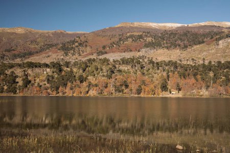 Téléchargez les photos : La forêt de montagne en automne et son reflet dans l'eau du lac. - en image libre de droit