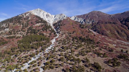 Foto de Colores de otoño. Vista aérea de la colina Impodi, con un pico de granito blanco, el follaje forestal de Araucaria araucana, valle y montañas. - Imagen libre de derechos