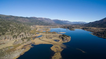 Téléchargez les photos : Vue aérienne du lac d'eau bleue pure, des ruisseaux traversant la prairie jaune, de la forêt d'arbres Araucaria araucana et des montagnes, par une journée d'été ensoleillée. - en image libre de droit