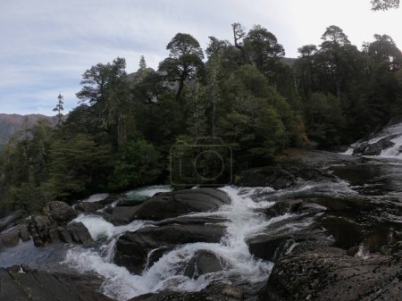 Photo for Nature. View of the rapids, rocky stream and waterfall in the mountain forest. - Royalty Free Image