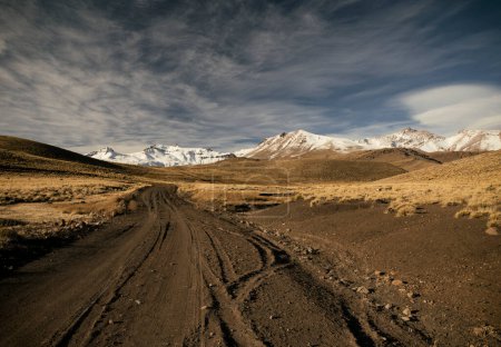 Téléchargez les photos : Aventure. Parcourir le chemin de terre à travers la prairie jaune, vers le volcan Domuyo dans les montagnes enneigées. - en image libre de droit