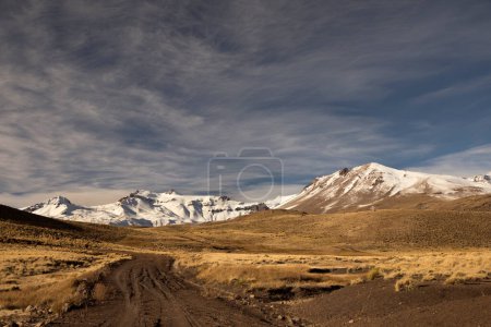 Téléchargez les photos : Aventure. Parcourir le chemin de terre à travers la prairie jaune, vers le volcan Domuyo dans les montagnes enneigées. - en image libre de droit