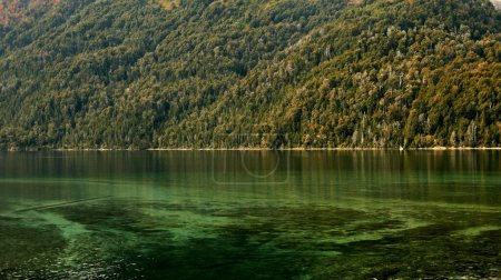 Foto de Patagonia, Lago de color esmeralda en el bosque montañoso de los Andes. Reflejo del follaje de Flora en el lago glaciar de agua pura de San Martín de los Andes - Imagen libre de derechos