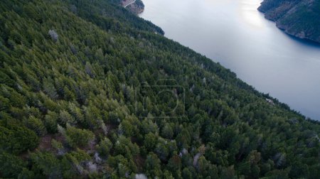 Luftaufnahme der Kiefern Wald Laub über den Berg und den See bei Einbruch der Dunkelheit. 