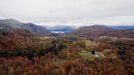 Téléchargez les photos : Couleurs et textures d'automne. Vue aérienne de la vallée, des montagnes et du feuillage forestier en automne. - en image libre de droit