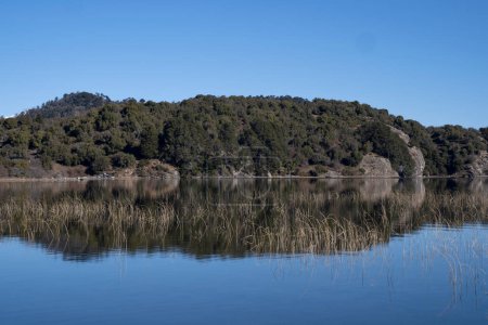 Téléchargez les photos : Vue panoramique sur le lac serein et la forêt par une journée d'été ensoleillée. Bel environnement et reflet bleu profond du ciel à la surface de l'eau. - en image libre de droit