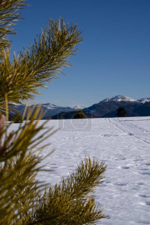 Téléchargez les photos : Paysage alpin. Vue sur le champ de neige, les montagnes andes et le volcan Batea Mahuida par une journée ensoleillée sous un ciel bleu pur, en Patagonie Argentine. - en image libre de droit