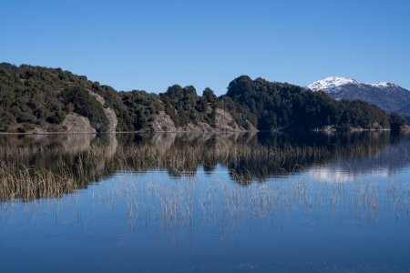 Foto de Belleza en la naturaleza. Vista del volcán Batea Mahuida, cordillera de los Andes, bosque y lago de alúmina en Villa Pehuenia, Patagonia Argentina. Hermoso paisaje y reflejo del cielo azul en el agua del glaciar. - Imagen libre de derechos