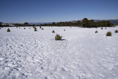 Téléchargez les photos : Paysage alpin. Vue panoramique du champ de neige sous un ciel bleu clair par une journée ensoleillée, avec les montagnes en arrière-plan. - en image libre de droit