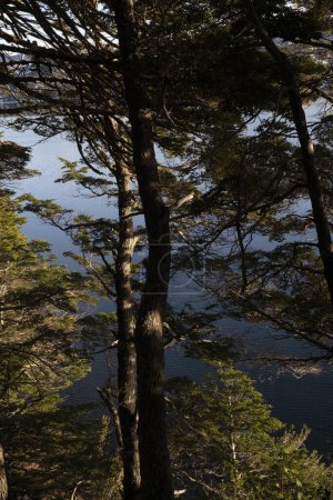 Téléchargez les photos : Vue magique sur la forêt, les montagnes et le lac par une journée ensoleillée. - en image libre de droit