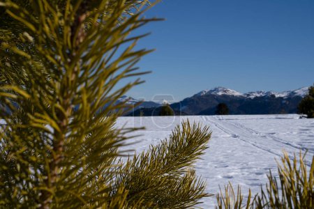 Téléchargez les photos : Paysage alpin. Vue sur le champ de neige, les montagnes andes et le volcan Batea Mahuida par une journée ensoleillée sous un ciel bleu pur, en Patagonie Argentine. - en image libre de droit
