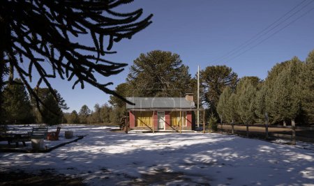 Téléchargez les photos : Vue d'une petite cabane typique dans les bois en Patagonie Argentine. La neige blanche et la forêt environnante avec des pins et des araucanes Araucaria dans une journée d'hiver ensoleillée. - en image libre de droit
