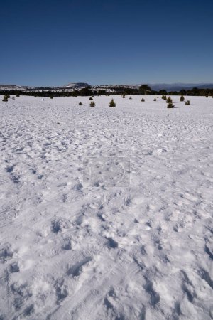 Foto de El paisaje alpino. Vista panorámica del campo de nieve bajo un cielo azul claro en un día soleado, con las montañas al fondo. - Imagen libre de derechos