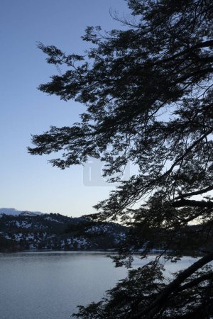 Téléchargez les photos : Vue magique sur la silhouette sombre du Nothofagus, le lac, le ciel bleu et les montagnes en arrière-plan, au lever du soleil. - en image libre de droit