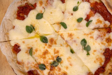 Foto de Pizza tradicional de queso mozzarella con salsa de tomate, hojas frescas de orégano y aceite de oliva. - Imagen libre de derechos