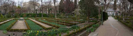 Photo for Landscaping and garden design. Panorama view of the plants, trees, Buxus sempervirens flower beds, flowers and pathwalk across the Royal Botanic Garden of Madrid, Spain. - Royalty Free Image