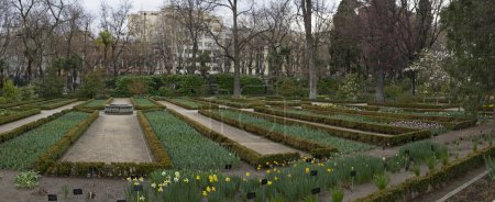 Photo for Landscaping and garden design. City green spaces. Panorama view of the beautiful tulip and Buxus sempervirens flower beds, flowers and trees in the royal botanic Garden in Madrid, Spain. - Royalty Free Image