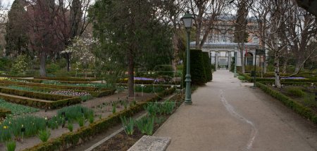 Photo for Landscaping and garden design. Panorama view of the plants, trees, Buxus sempervirens flower beds, flowers and pathwalk across the Royal Botanic Garden of Madrid, Spain. - Royalty Free Image