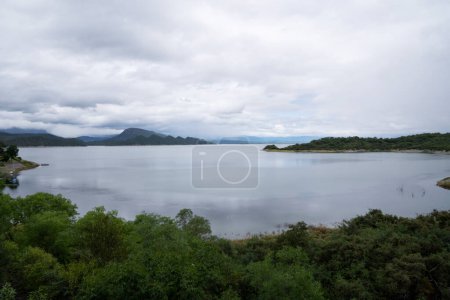 Foto de Vista del bosque y el lago plácido. - Imagen libre de derechos