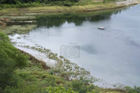 Foto de Paisaje tranquilo. Vista del lago, la orilla, la hierba y el bosque. - Imagen libre de derechos