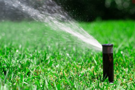 Photo for Sprinkler watering the lawn. Concept garden maintenance - Royalty Free Image